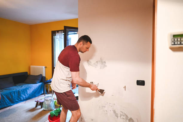 Best Mold Remediation  in Picayune, MS
